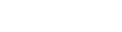 logo light